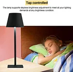 Desk Lamp