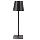 Desk Lamp